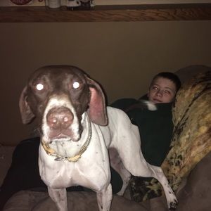 Meet your Posher, Tom